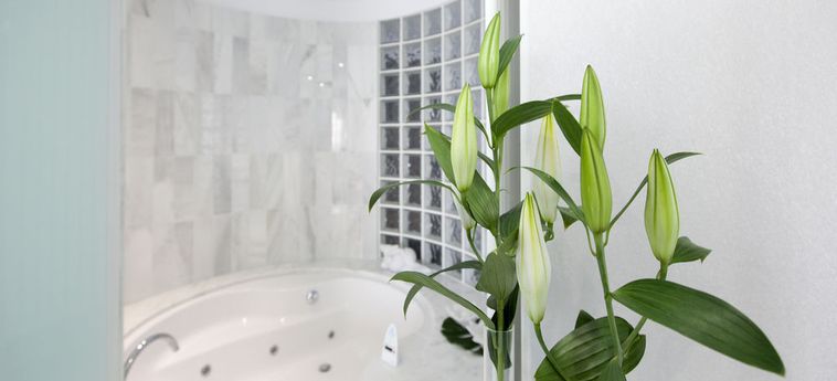 Hotel Masmonzon Huesca : Photo 