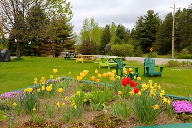 Hotel Arrowhead Inn Huntsville - Canada: Photo 