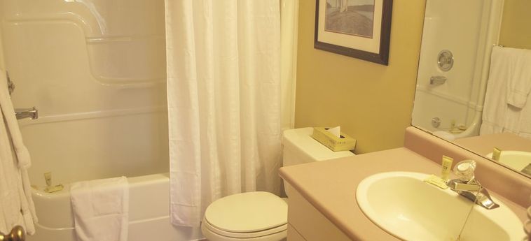 Hotel Trillium Resort &Amp; Spa Huntsville - Canada: Foto 