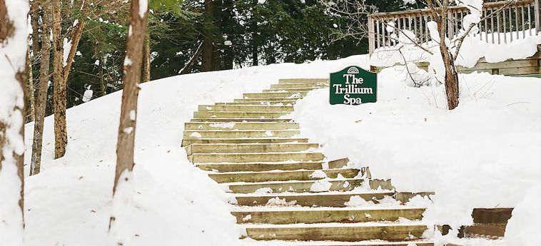 Hotel Trillium Resort &Amp; Spa Huntsville - Canada : Photo 