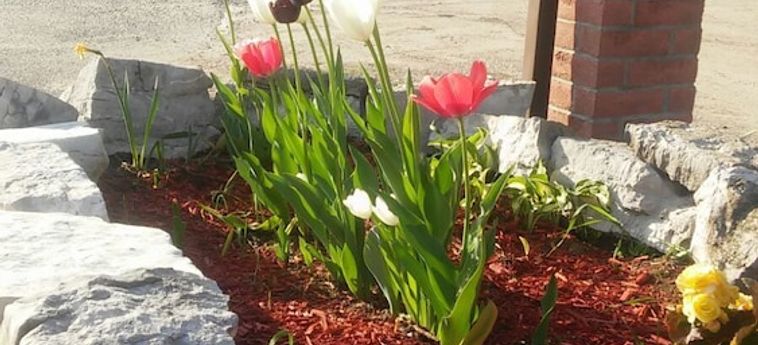 Hotel Tulip Inn Huntsville - Canada: Foto 