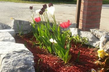 Hotel Tulip Inn:  HUNTSVILLE - CANADA