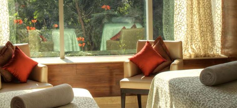 Hotel Park Hyatt Hyderabad Hyderabad : Photo 