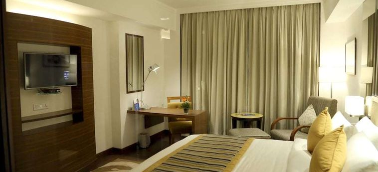 Aditya Park-A Sarovar Portico Hotel Hyderabad : Photo 