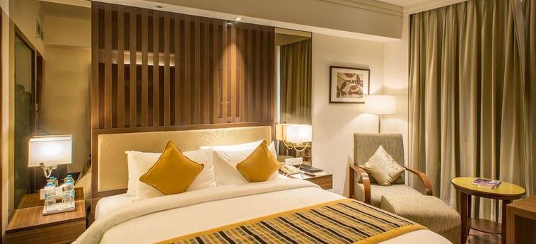 Aditya Park-A Sarovar Portico Hotel Hyderabad : Photo 