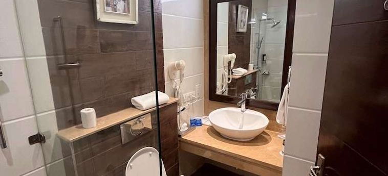 Aditya Park-A Sarovar Portico Hotel Hyderabad : Photo 