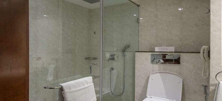 Aditya Park-A Sarovar Portico Hotel Hyderabad: Foto 