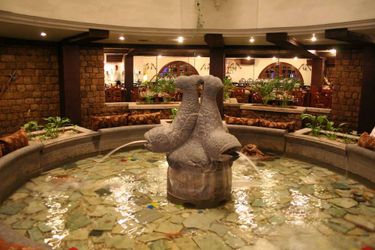Hotel Best Western Amrutha Castle Hyderabad: Photo 