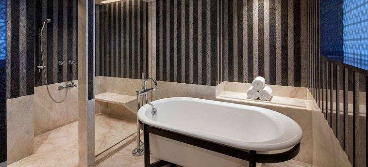 Hotel Marriott Hyderabad Hyderabad : Photo 