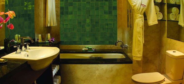 Hotel Marriott Hyderabad Hyderabad : Photo 