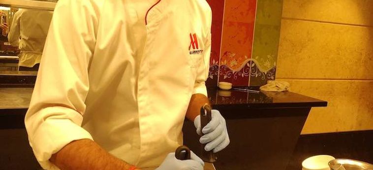 Hotel Marriott Hyderabad Hyderabad : Photo 