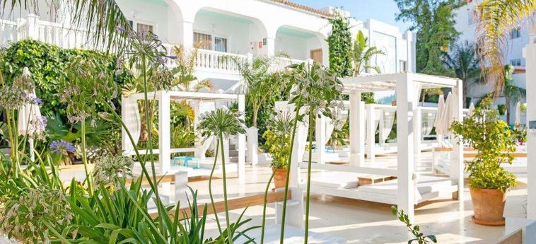 Hotel Beach Star Ibiza, Affiliated By Senator Ibiza - Balearic Islands: Photo 