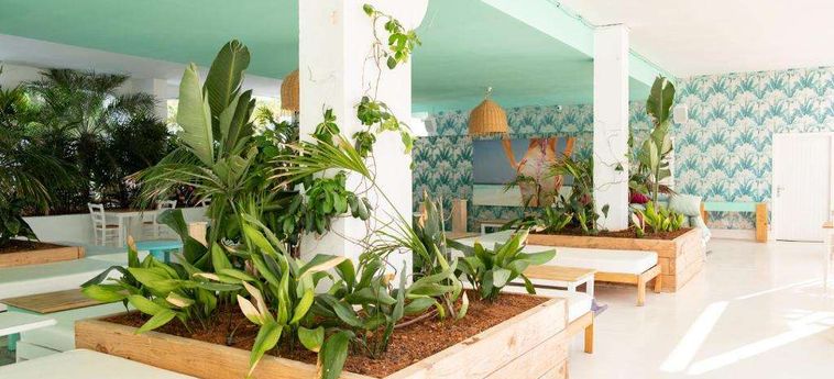Hotel Beach Star Ibiza, Affiliated By Senator Ibiza - Balearischen Inseln: Foto 
