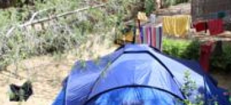 Hotel Camping Lacona Pineta:  ILE D'ELBE