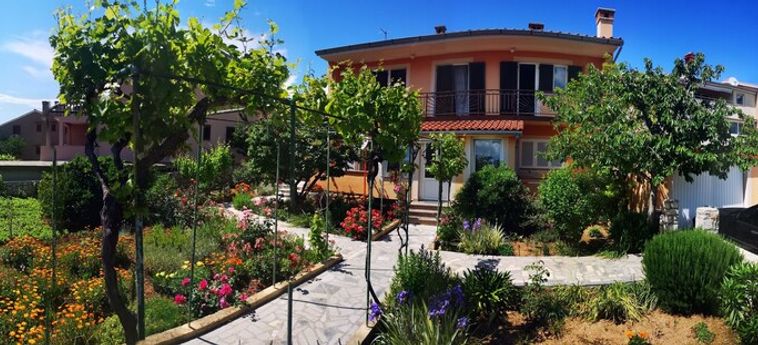 Hotel Naomi's Sunshine Ile De Cres - Quarnero : Photo 