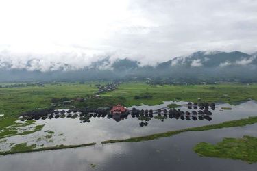 Hotel Golden Island Cottage (Tale-U) Inle: Photo 