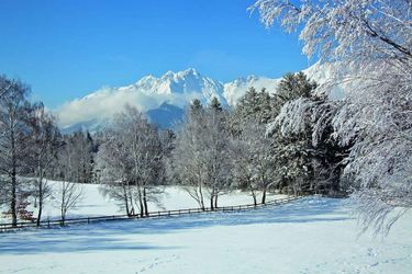 Hotel Goldener Adler, Bw Signature Collection  Innsbruck: Photo 