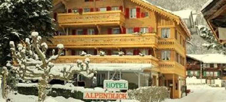 Hotel Alpenblick:  INTERLAKEN
