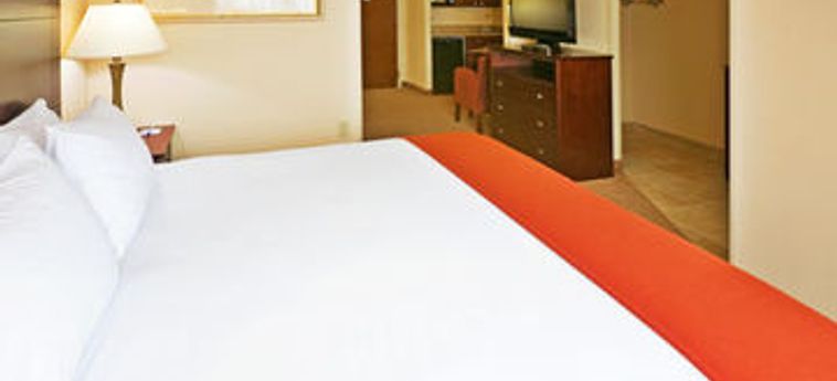 HOLIDAY INN EXPRESS HOTEL & SUITES IRVING NORTH-LAS COLINAS 2 Stelle