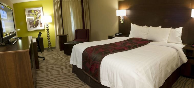 Hotel FAIRFIELD INN & SUITES DALLAS DFW AIRPORT SOUTH/IRVING