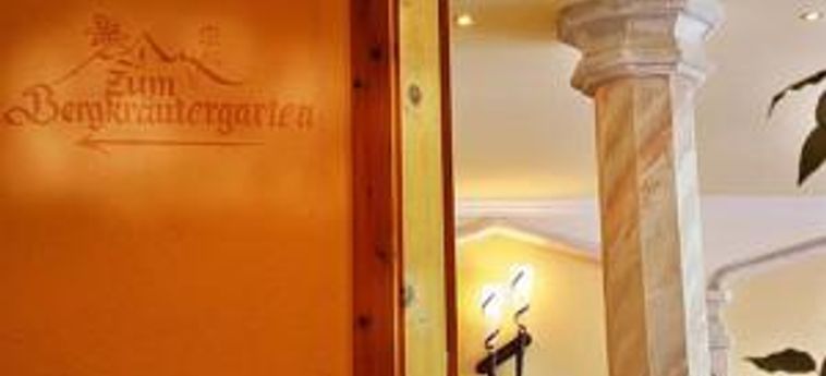 Hotel Alpvita Piz Tasna:  ISCHGL