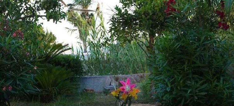 Hotel Loreley Ischia Island - Naples : Photo 