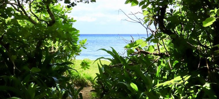 Hotel Aleyzd Bale Ishigaki Ishigaki Island - Okinawa Prefecture: Foto 