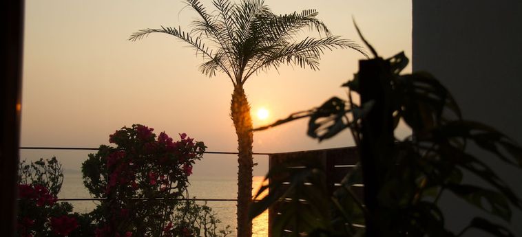 Hotel Aleyzd Bale Ishigaki Ishigaki Island - Okinawa Prefecture: Foto 