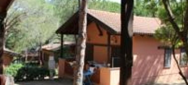 Hotel Camping Lacona Pineta:  ISLA DE ELBA