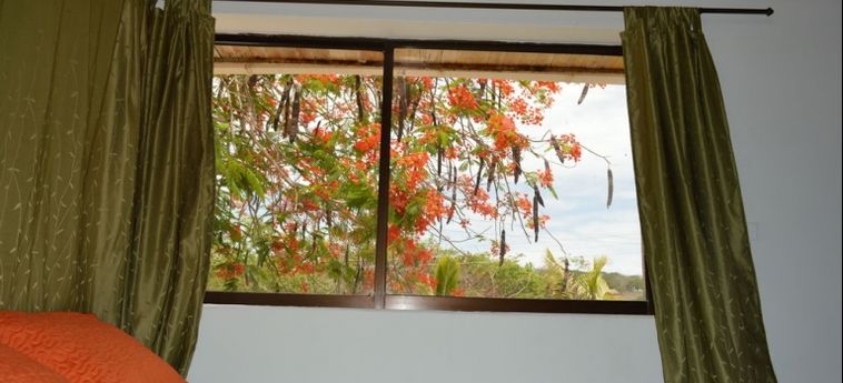 Hotel Palmarito Beach & Spa:  ISLA TIERRA BOMBA