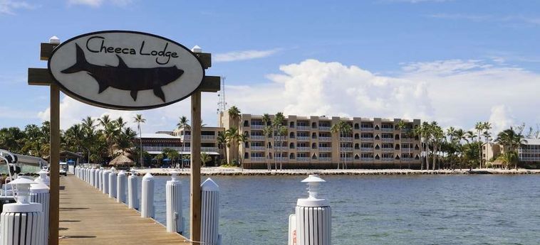 Hotel Cheeca Lodge &Amp; Spa Islamorada (Fl): Foto 