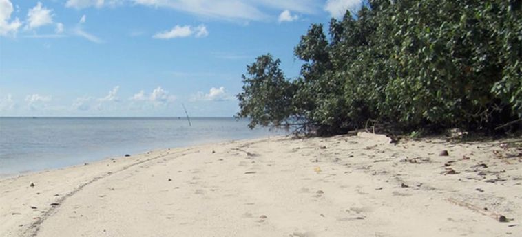 Hotel Berakit Bay Resort Isola Di Bintan: Foto 