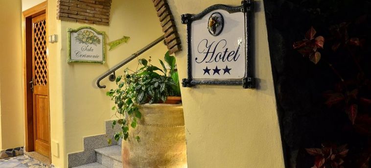 Hotel La Capannina:  ISOLA DI ISCHIA - NAPOLI