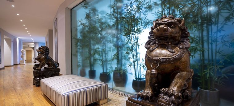 Hotel Palazzo Manzi Terme &Amp; Spa  Isola Di Ischia - Napoli: Foto 