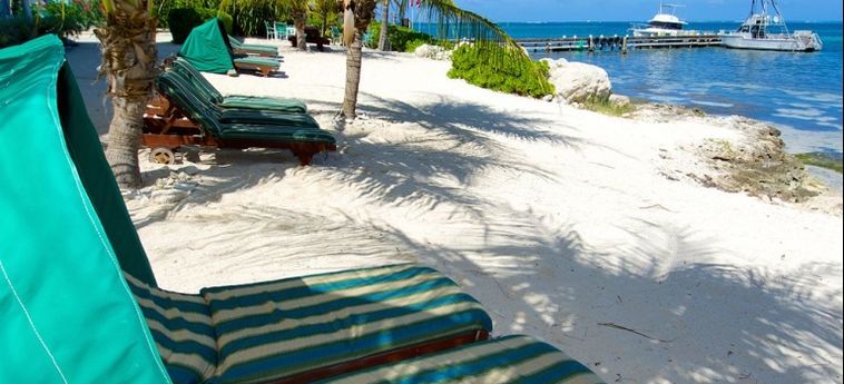Hotel Compass Point Dive Resort:  ISOLE CAYMAN
