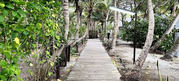 Hotel Serenity Island Resort Isole Figi: Foto 