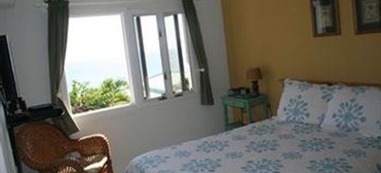 Hotel Villa Marbella Suites:  ISOLE VERGINI AMERICANE