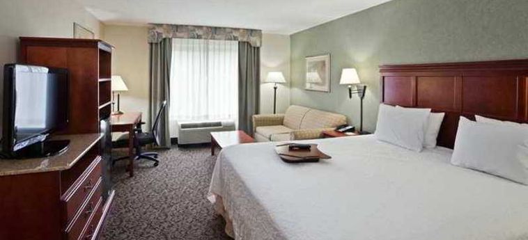 Hotel Hampton Inn Ithaca:  ITHACA (NY)