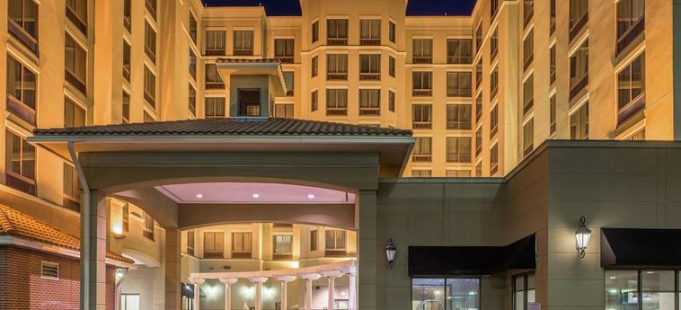 Hotel Hilton Garden Inn Jacksonville Downtown Southbank:  JACKSONVILLE (FL)