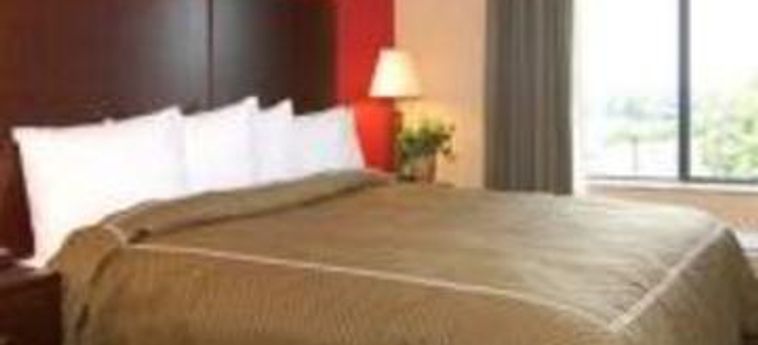 Hotel Comfort Suites:  JACKSONVILLE (FL)