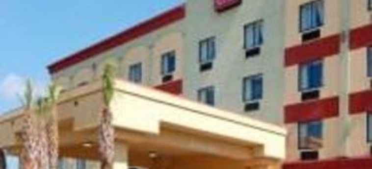 Hotel Comfort Suites:  JACKSONVILLE (FL)