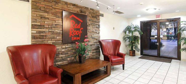 Hotel Red Roof Inn Jacksonville Southpoint:  JACKSONVILLE (FL)