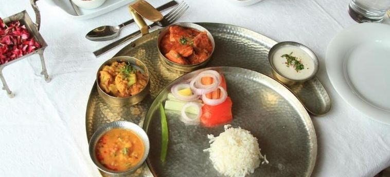 Hotel Tree Of Life Resort &Amp; Spa Jaipur: Foto 