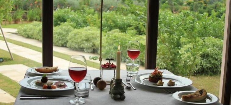 Hotel Tree Of Life Resort &Amp; Spa Jaipur: Foto 
