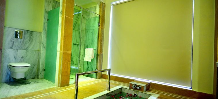 Achrol Niwas A Treehouse Hotel Jaipur Jaipur: Photo 