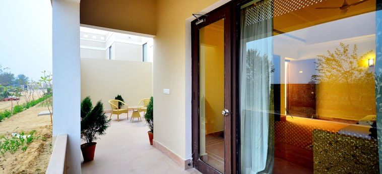 Achrol Niwas A Treehouse Hotel Jaipur Jaipur: Photo 
