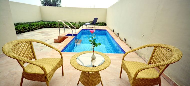 Achrol Niwas A Treehouse Hotel Jaipur Jaipur: Photo 
