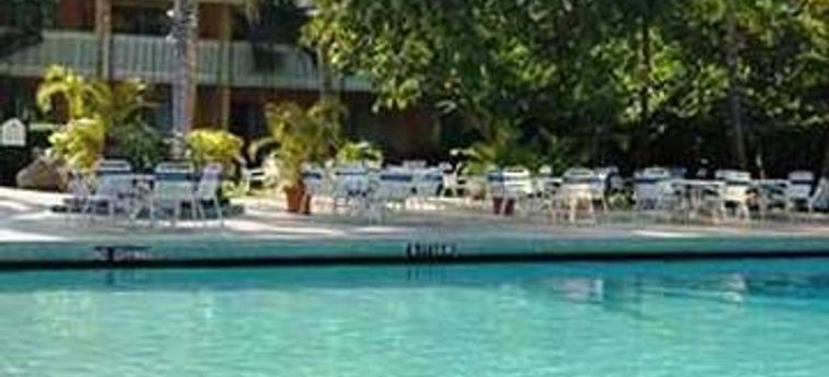 Hotel Whyndham Kingston Jamaica:  JAMAICA