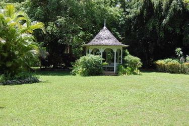 Hotel The Inn At Shaw Park Gardens & Waterfalls:  JAMAICA