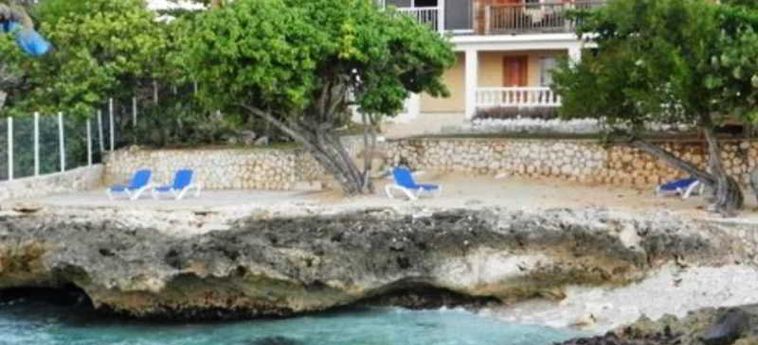Hotel The Westender Inn Jamaica: Foto 